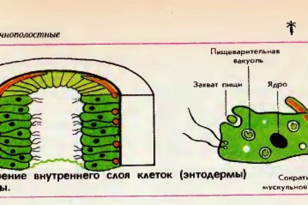 Kraken darknet market ссылка тор