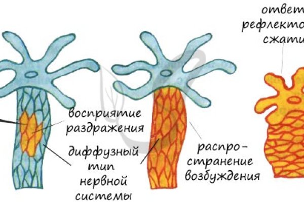 Сайт кракен зайти